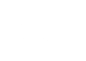 IMVAL | Imperfect Valkyrie - Official Store